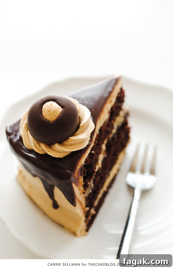 Decadent Chocolate Cake with Peanut Butter Frosting 7 Chocolate Peanut Butter Cake - moist chocolate cake paired with peanut butter frosting and filling, topped with drippy chocolate ganache and homemade peanut butter balls, aka buckeyes | Carrie Sellman for TheCakeBlog.com