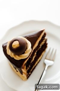 Chocolate Peanut Butter Cake - moist chocolate cake paired with peanut butter frosting and filling, topped with drippy chocolate ganache and homemade peanut butter balls, aka buckeyes | Carrie Sellman for TheCakeBlog.com