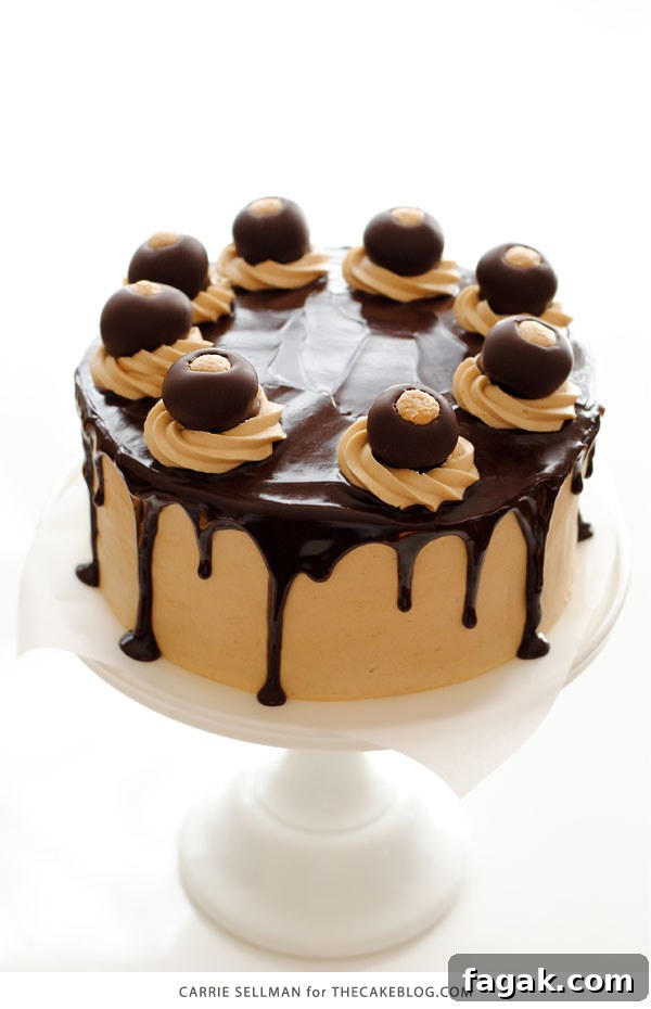 Decadent Chocolate Cake with Peanut Butter Frosting 9 Chocolate Peanut Butter Cake - moist chocolate cake paired with peanut butter frosting and filling, topped with drippy chocolate ganache and homemade peanut butter balls, aka buckeyes | Carrie Sellman for TheCakeBlog.com