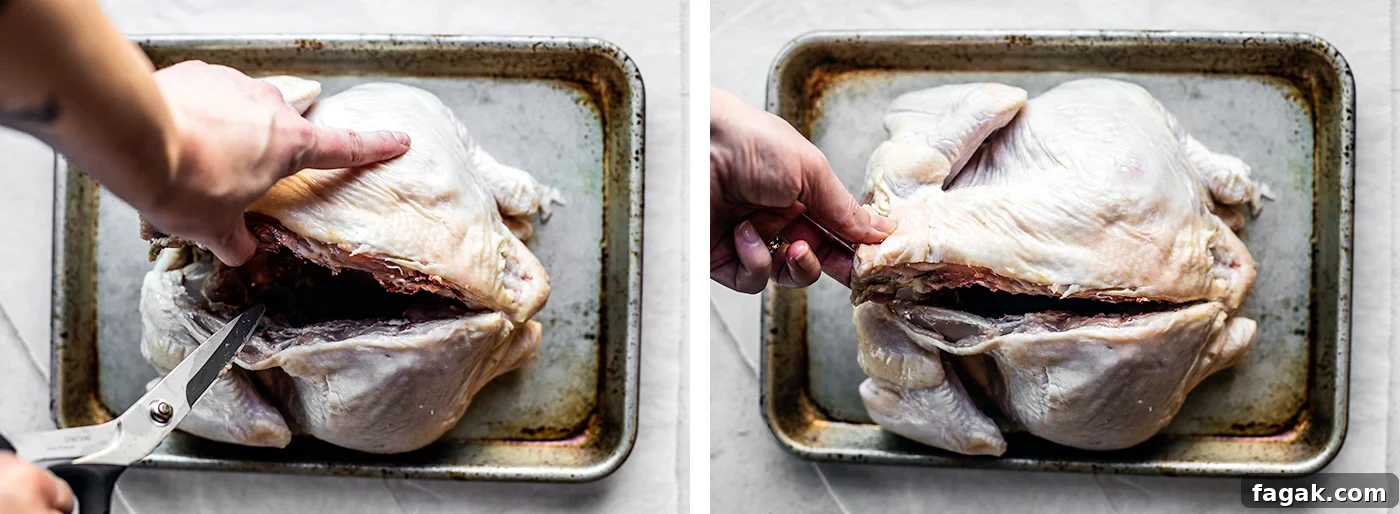 Whole chicken being cut along backbone with kitchen shears.