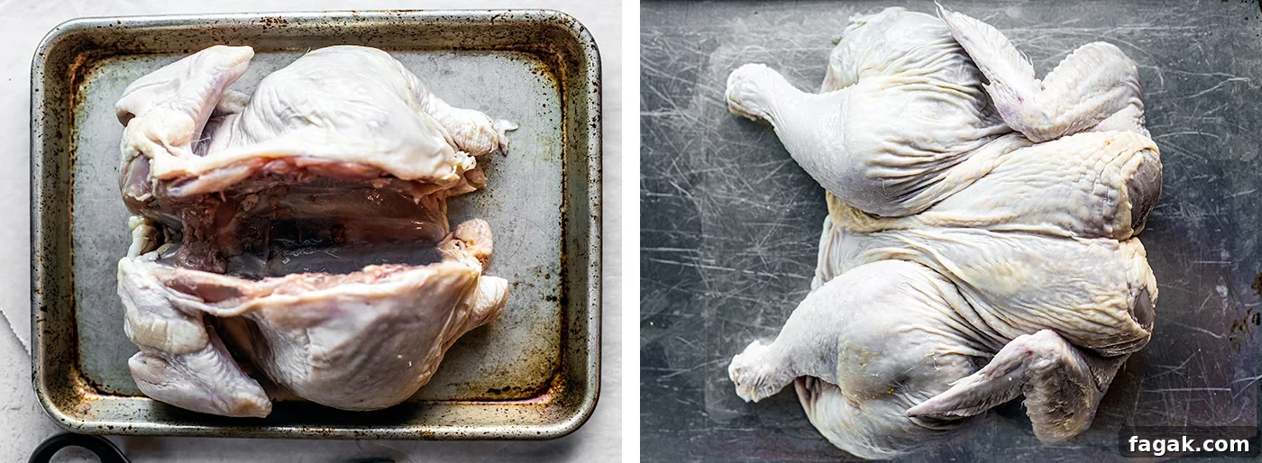 Spatchcocked chicken without backbone being flattened on a baking sheet.