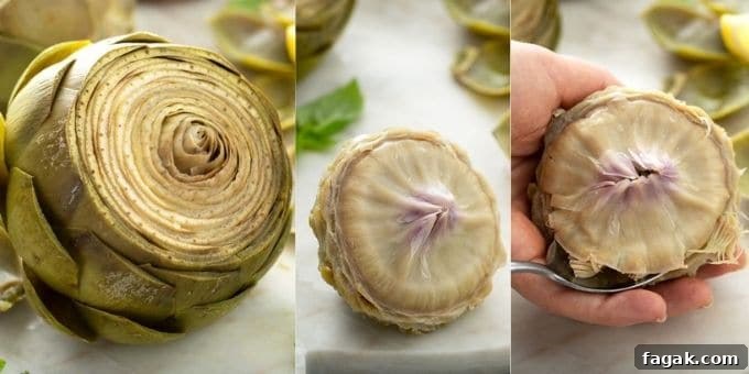 Photo collage of whole artichoke globe, inner tender leaves, removing the choke with a spoon photo