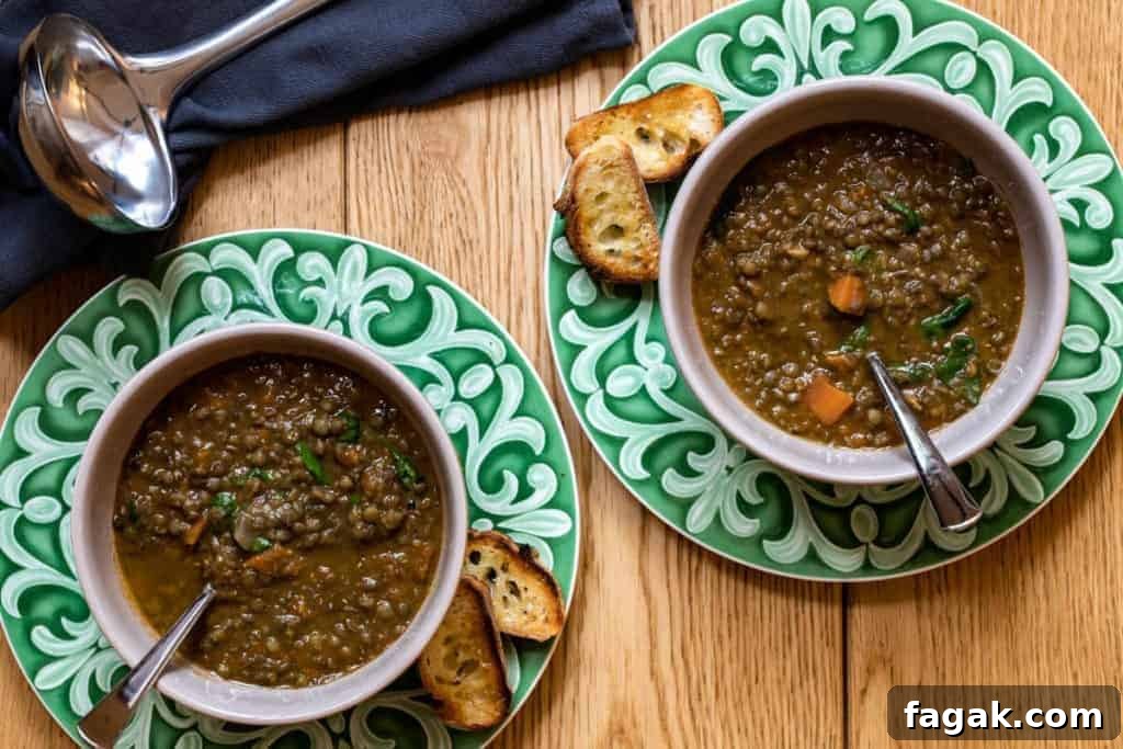 French Lentil Soup