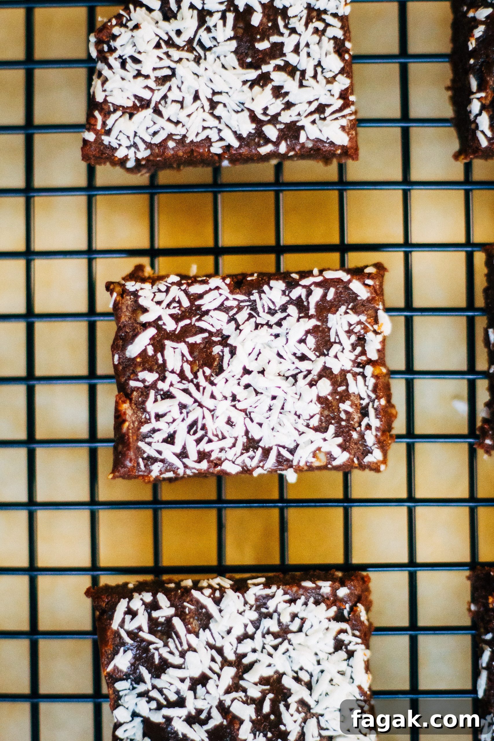 Decadent Raw Vegan Brownie Recipe — No-Bake Chocolate Squares 3 Raw Vegan Brownies | Well and Full | #vegan #plantbased #recipe