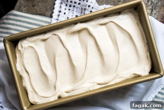 No-Churn Paleo, Low Carb & Keto Vanilla Ice Cream