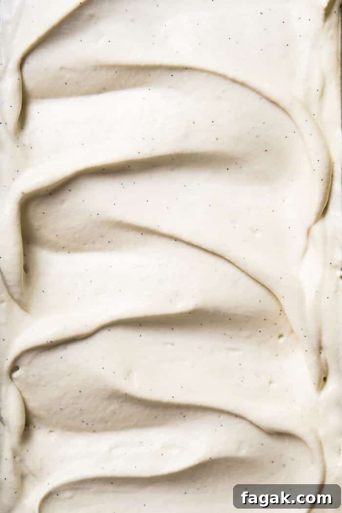 No-Churn Paleo, Low Carb & Keto Vanilla Ice Cream