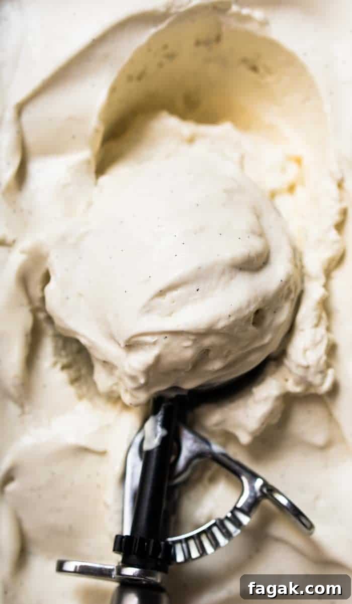 No-Churn Paleo, Low Carb & Keto Vanilla Ice Cream