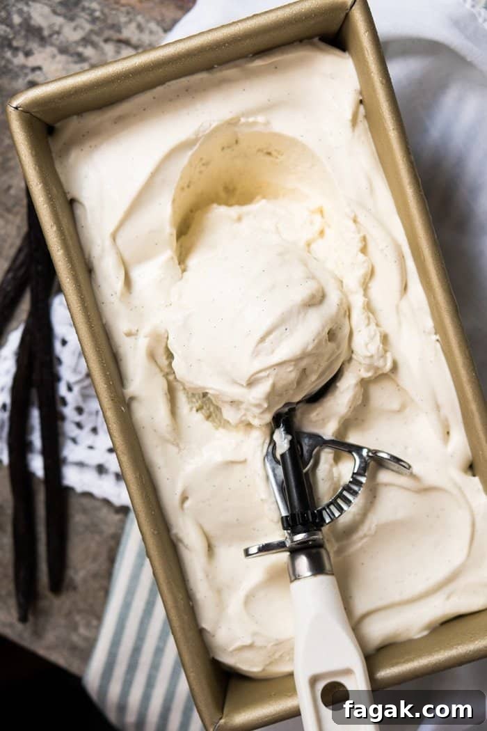 No-Churn Paleo, Low Carb & Keto Vanilla Ice Cream