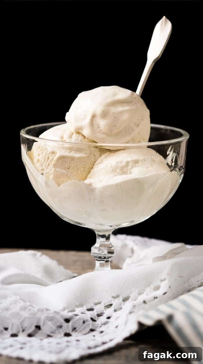 No-Churn Paleo, Low Carb & Keto Vanilla Ice Cream