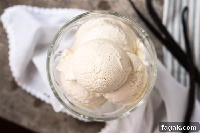 No-Churn Paleo, Low Carb & Keto Vanilla Ice Cream