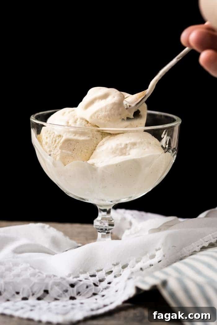 No-Churn Paleo, Low Carb & Keto Vanilla Ice Cream