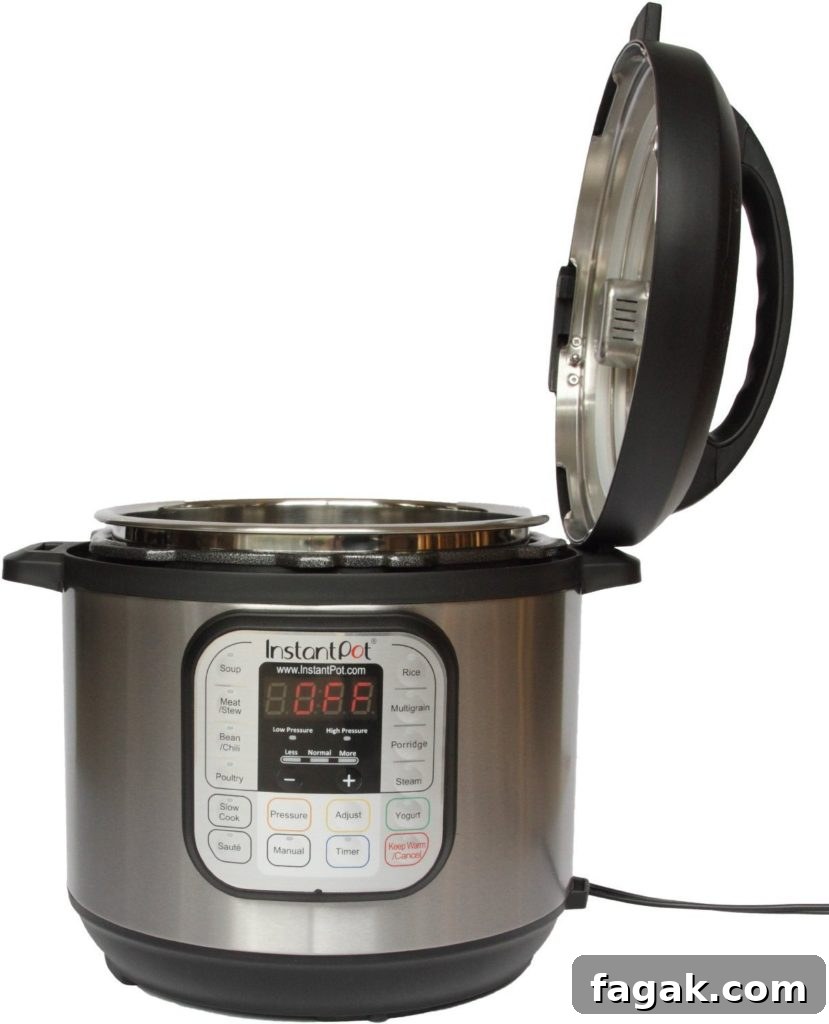 Stock photo of an Instant Pot with the lid resting in the up position.