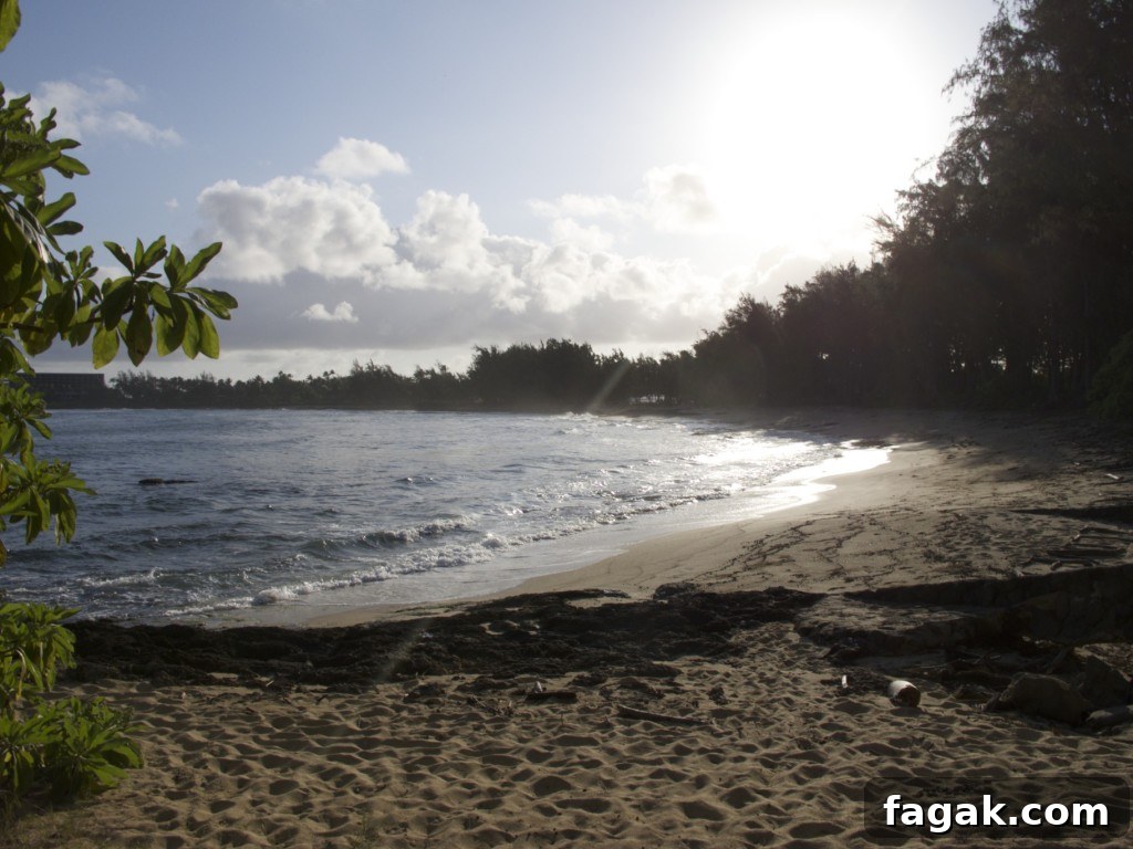 View from Kulima Point to Turtle Bay @gregorytlee photo into sun at Turtle Bay