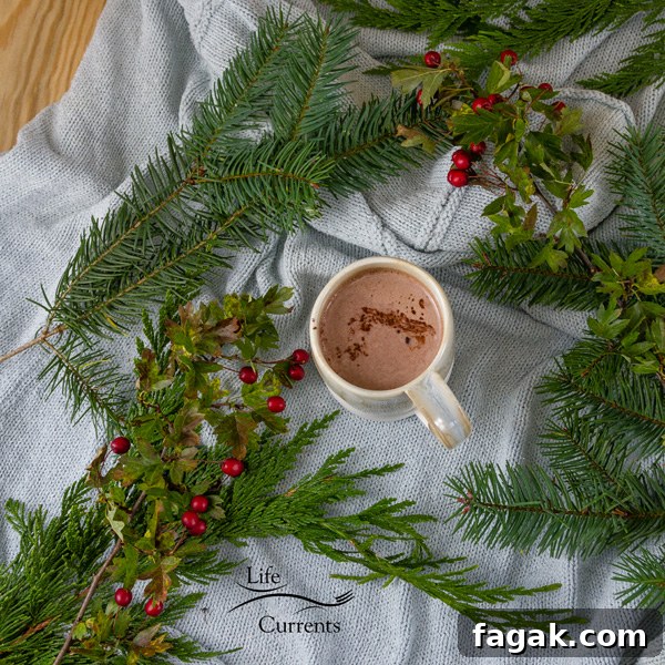 top down shot with lots of room around the mug of hot cocoa and evergreens