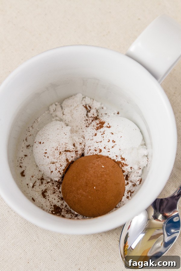 Place the cocoa and the powdered sugar in the bottom of the mug, and mix together thoroughly. 
