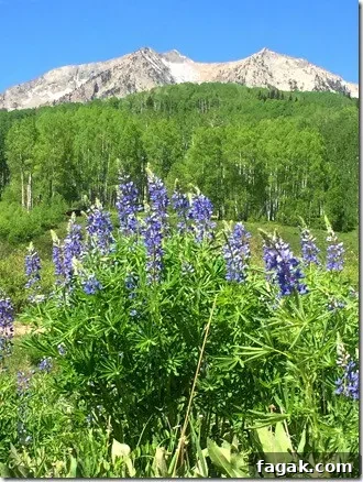 colorado mountains