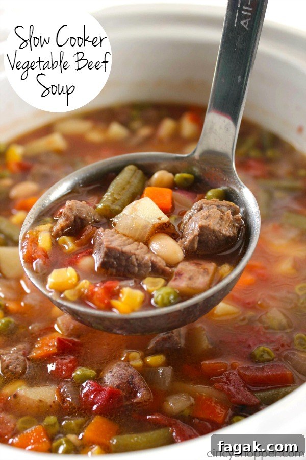 Slow Cooker Vegetable Beef Soup 2