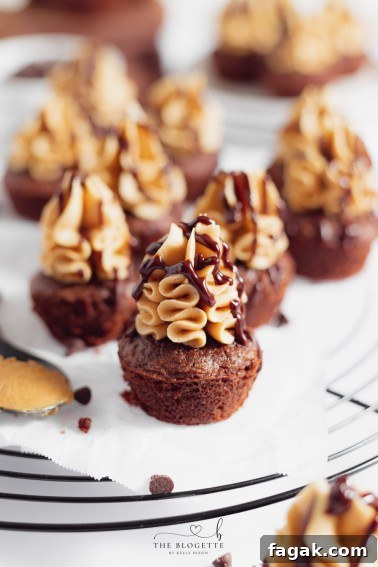 These amazing Buckeye Brownies are rich chocolate brownies topped with homemade peanut butter icing and drizzled in chocolate.