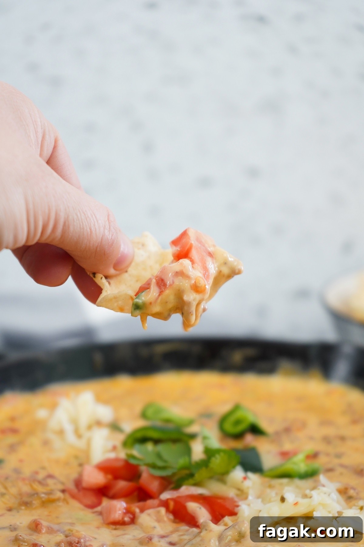 Smoked queso on tortilla chip. Smoked queso on tortilla chip.