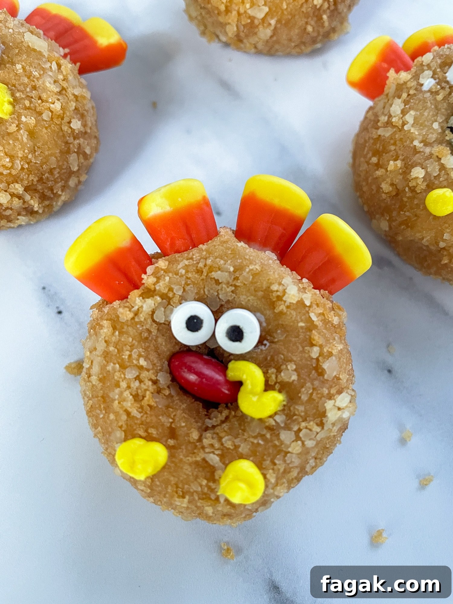 close up shot of turkey donut
