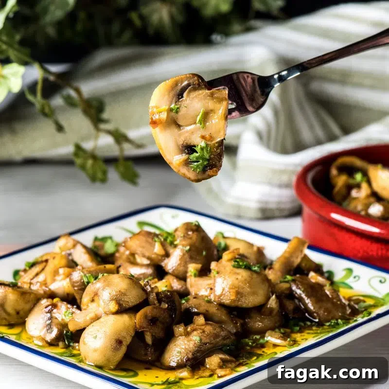 Spanish Garlic Mushroom Tapas