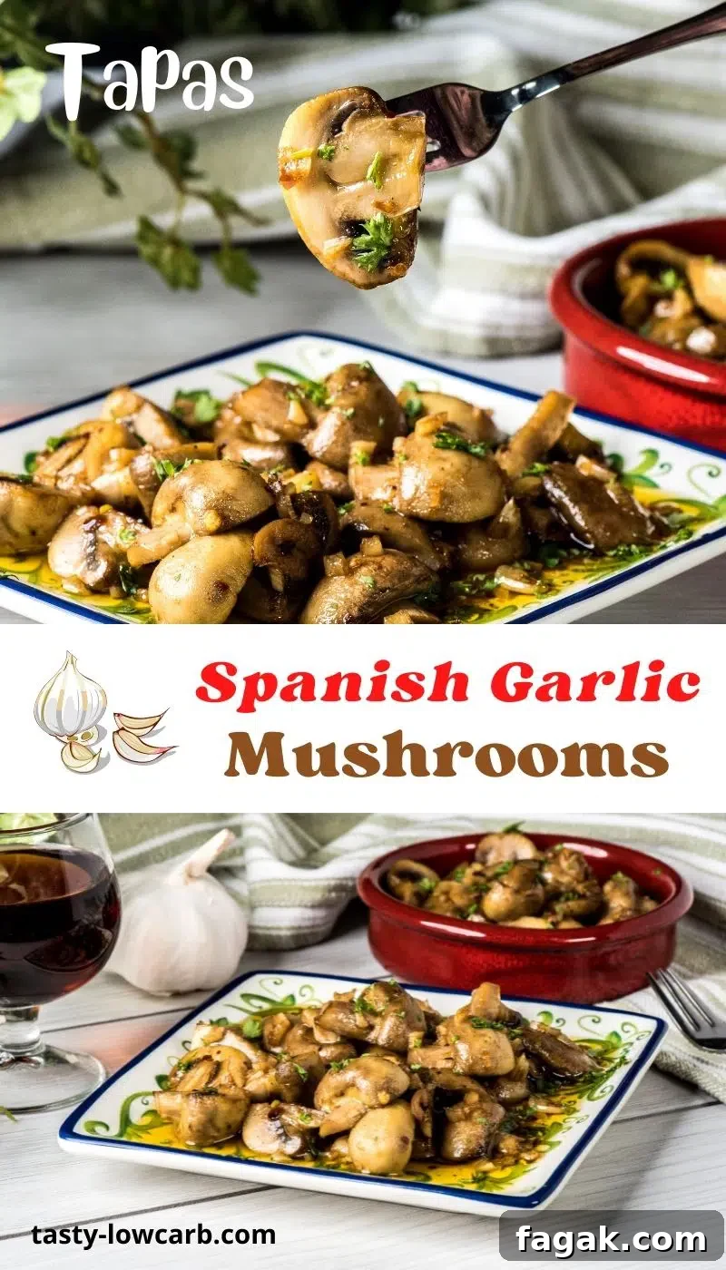Tapas presentation