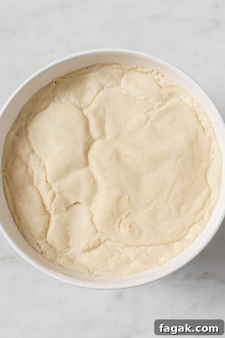 Foolproof Keema Naan Recipe: Step-by-Step Guide for Perfect Stuffed Bread 7 Keema Naan dough after resting.
