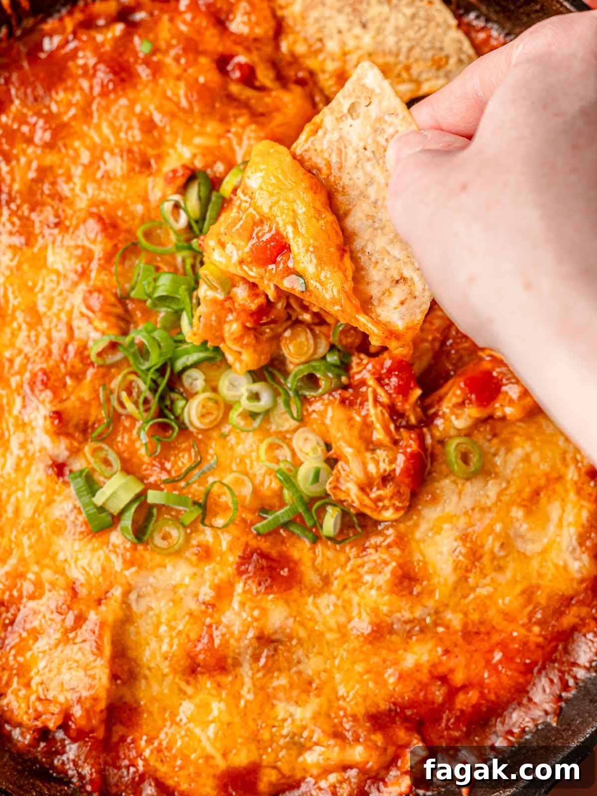 Cheesy Baked Chicken Enchilada Dip Without Cream Cheese 8 A hand dipping a tortilla chip into a warm skillet of chicken enchilada dip, with gooey cheese stretching from the dip to the chip.