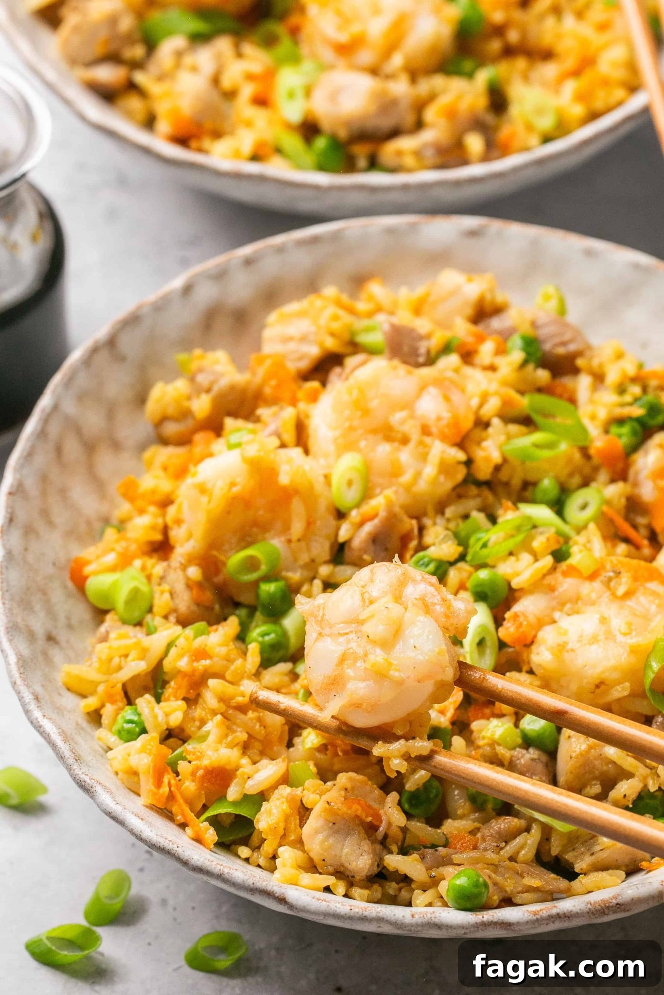 Shrimp & Chicken Fried Rice