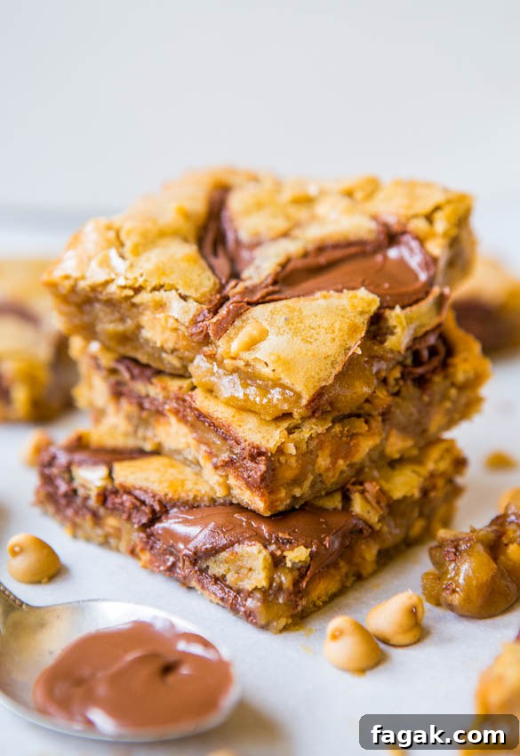 Nutella-Swirled Peanut Butter Chip Blondies - Easy One-Bowl No-Mixer Recipe