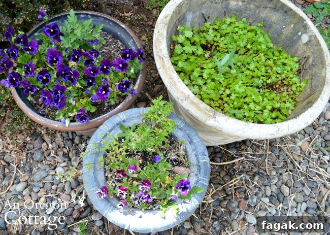 Flower containers before