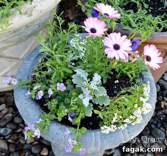 small urn planted