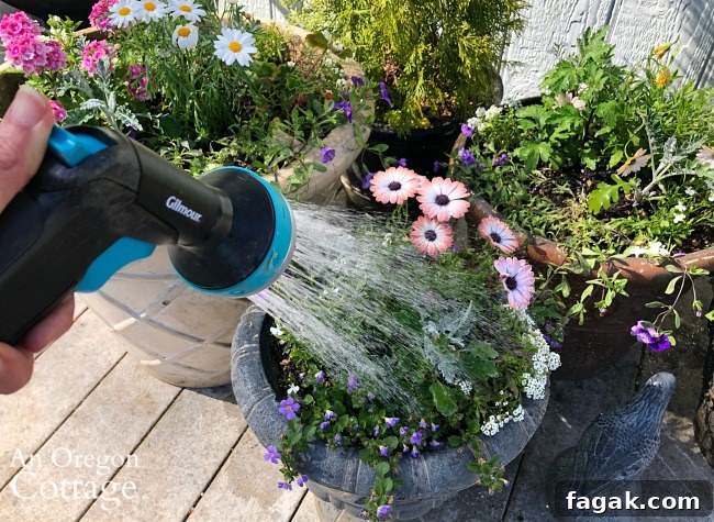 Watering container garden