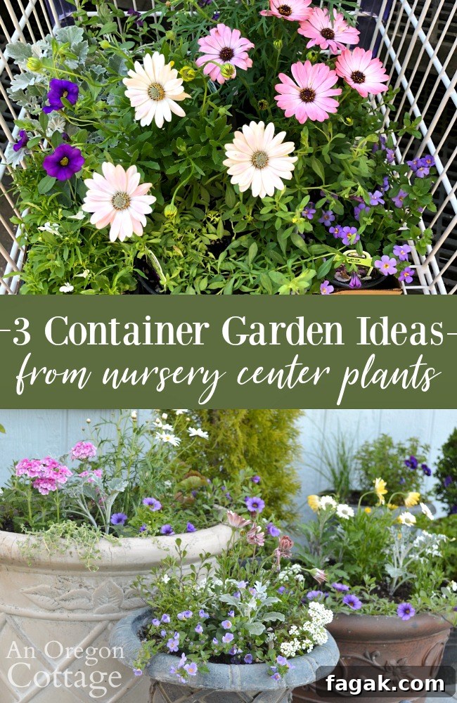 3 Container Garden Ideas from nursery center plants