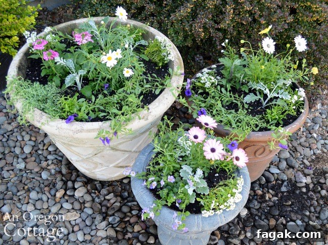 3 flower containers planted