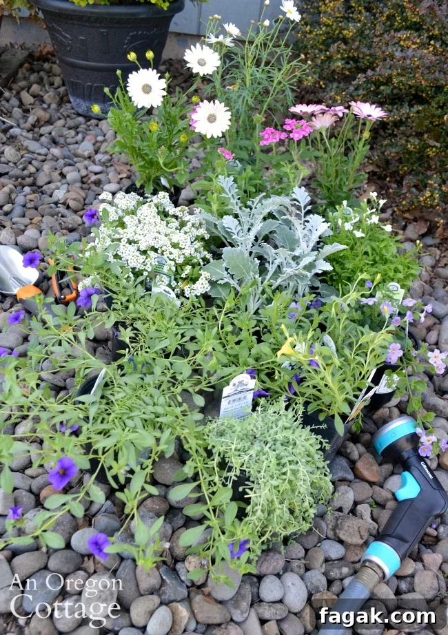 Container garden nursery center plants