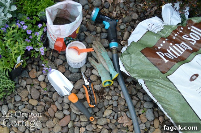 Container gardening tools needed