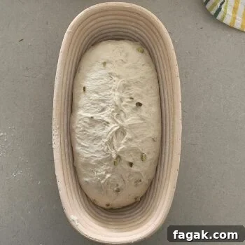 Dough in fridge