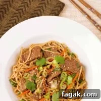 An overhead view of a plate of lo mein noodles tossed with stir-fried flank steak, shredded carrot, scallions, ginger, and garlic in a five-spice hoisin sauce.
