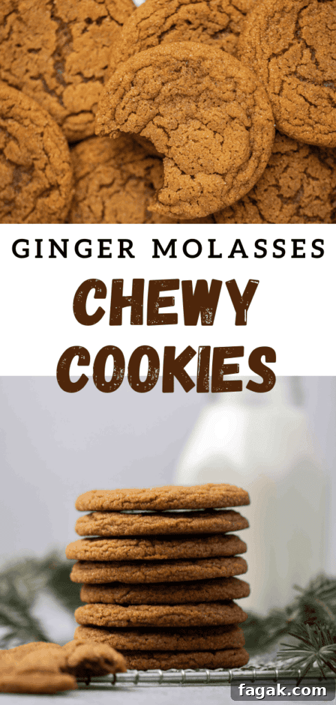 Chewy ginger molasses cookies