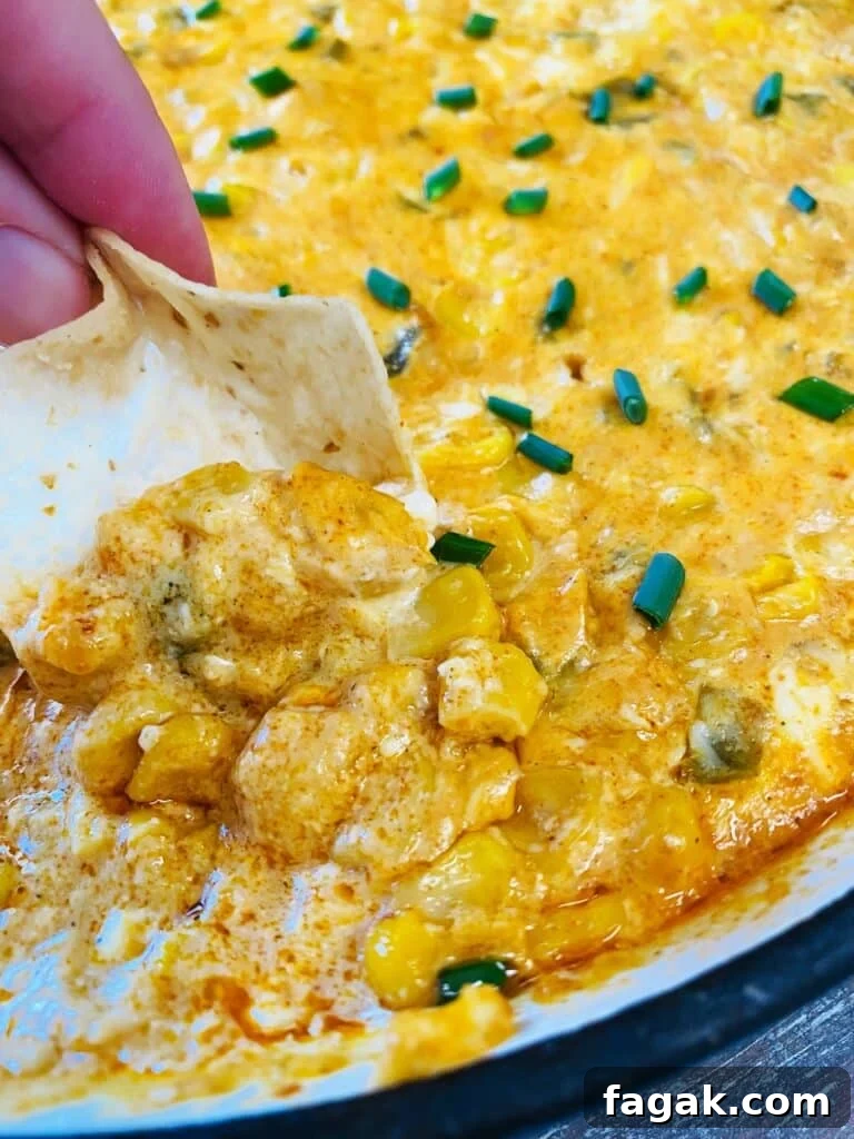 12 Festive Traeger Appetizer Recipes for Holiday Entertaining 16 Traeger Jalapeno Corn Dip