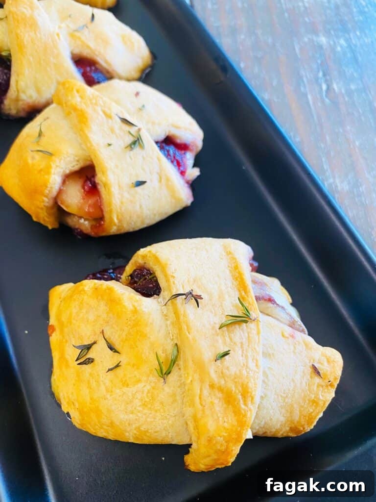 12 Festive Traeger Appetizer Recipes for Holiday Entertaining 17 Traeger Cranberry Brie Roll Ups