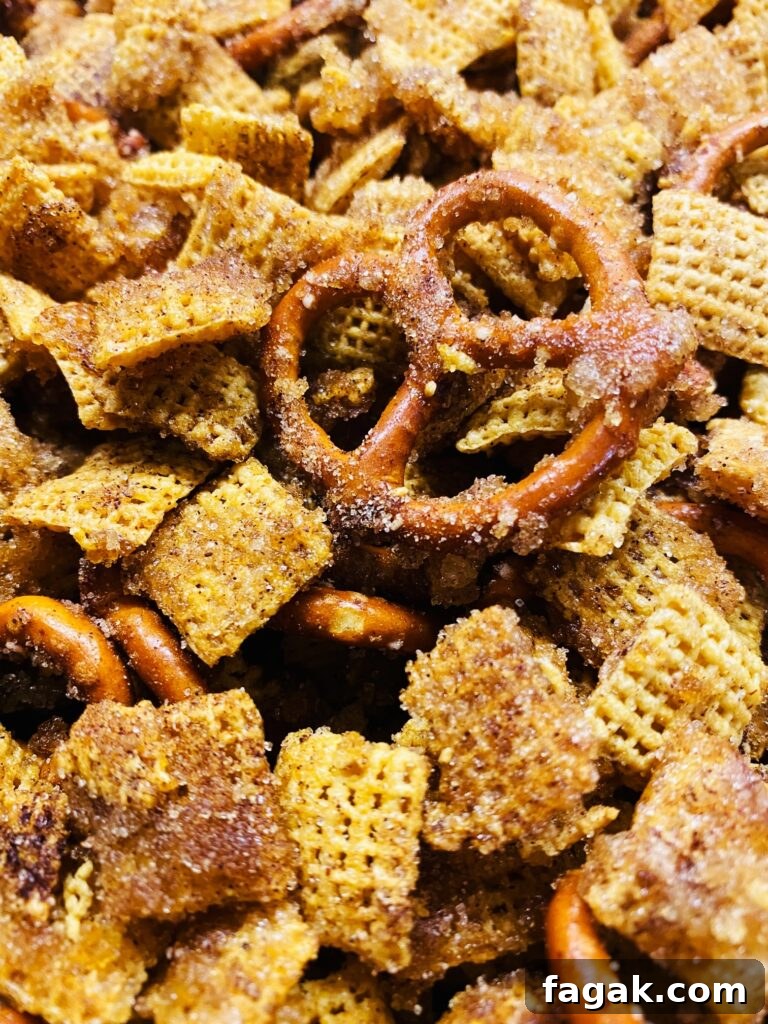12 Festive Traeger Appetizer Recipes for Holiday Entertaining 20 Smoked Churro Chex Mix