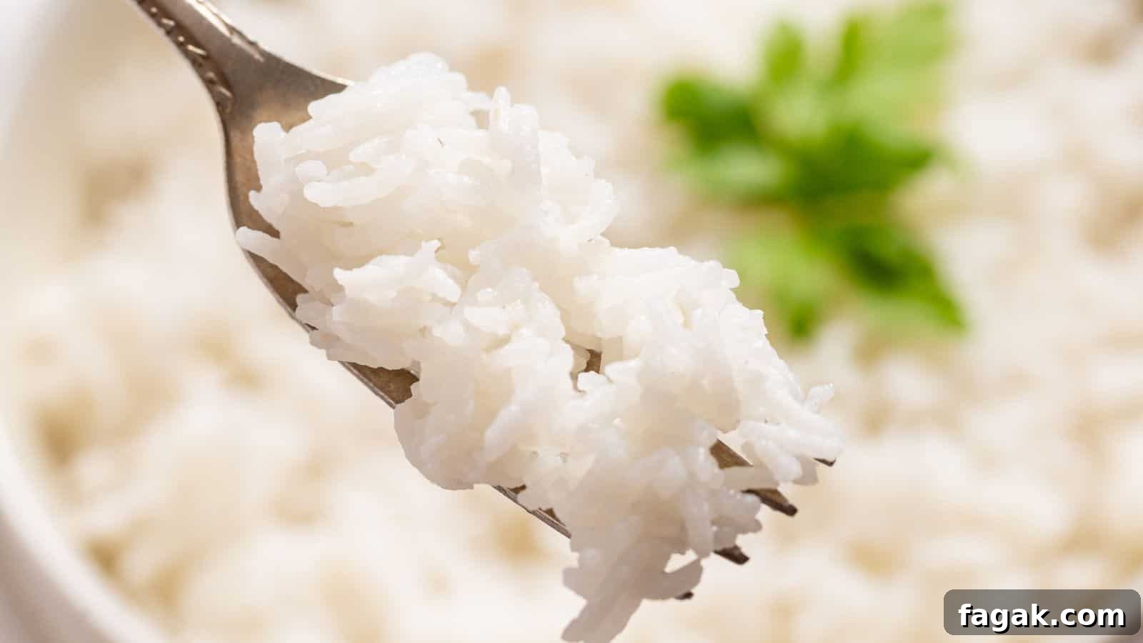 A spoonful of slow-cooked white rice held above a bowl, with a fresh green parsley leaf in the background.