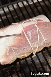 a temperature probe going into a pork roast
