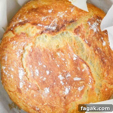 No-knead bread in yellow dutch oven with parchment paper.