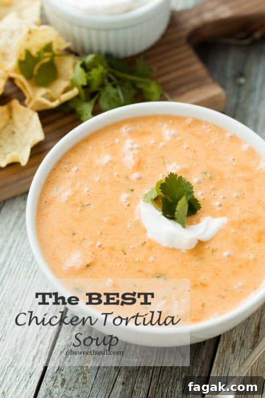 chicken-tortilla-soup-recipe-ohsweetbasil.com