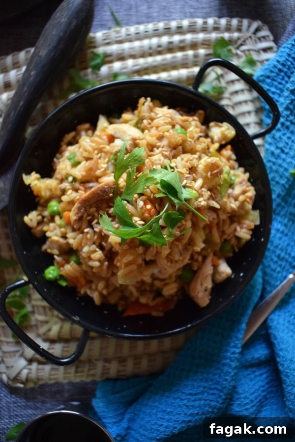 over head view of the Chicken Fried Rice