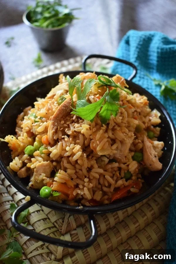 close up of the Chicken Fried Rice
