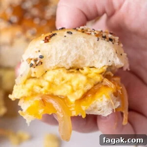 Egg and cheese breakfast slider on Hawaiian roll with caramelized onions and everything but the bagel seasoning.